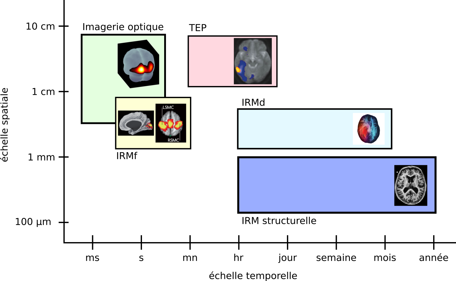 Illustration du compromis entre résolution temporelle et spatiale pour les techniques de neuroimagerie étudiées dans ce livre. Figure adaptée par P. Bellec à partir d’une variété de sources non libres de droit.