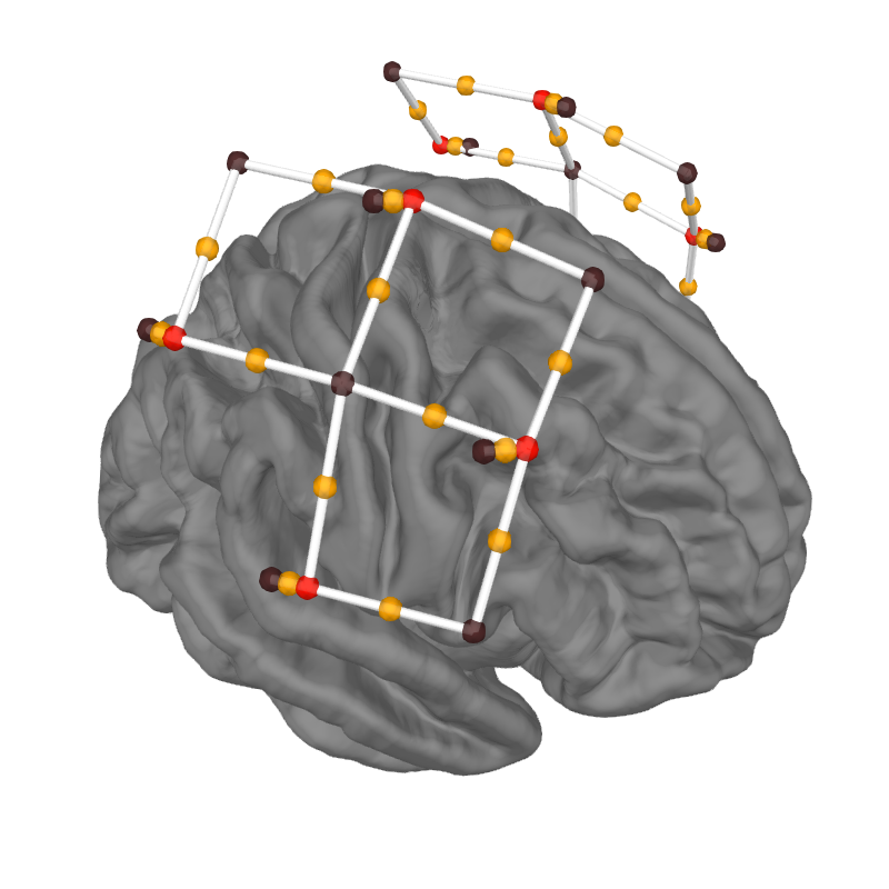 Un montage d’émetteurs/récepteurs en imagerie optique cérébrale. La position des sources de lumière est indiquée en rouge, la position des récepteurs est indiquée en noir. La position des sources, qui correspond aux tissus cérébraux entre la source et l’émetteur, est indiquée par des points oranges, et la trajectoire de la lumière est indiquée par des traits blancs. Cette figure est générée par du code python adapté d’un tutoriel de la librairie MNE python (cliquer sur + pour voir le code), et est distribuée par P. Bellec sous licence CC-BY 4.0.