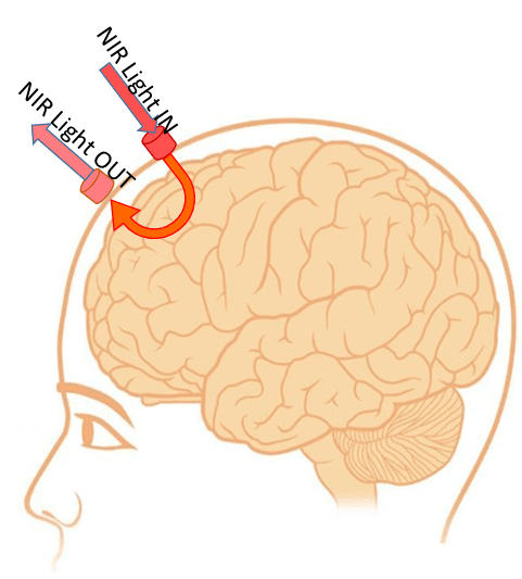 Mesure localisée dans le cerveau en imagerie optique. Un émetteur de lumière proche infrarouge est appliquée sur le scalp. Cette lumière est diffusée dans le cerveau. Après avoir traversé une petite portion de tissus cérébraux, elle va être émise de nouveau à la surface du scalp, et mesurée par un récepteur Image tirée de Abtahi et al. (2017) sous licence CC-BY 4.0.