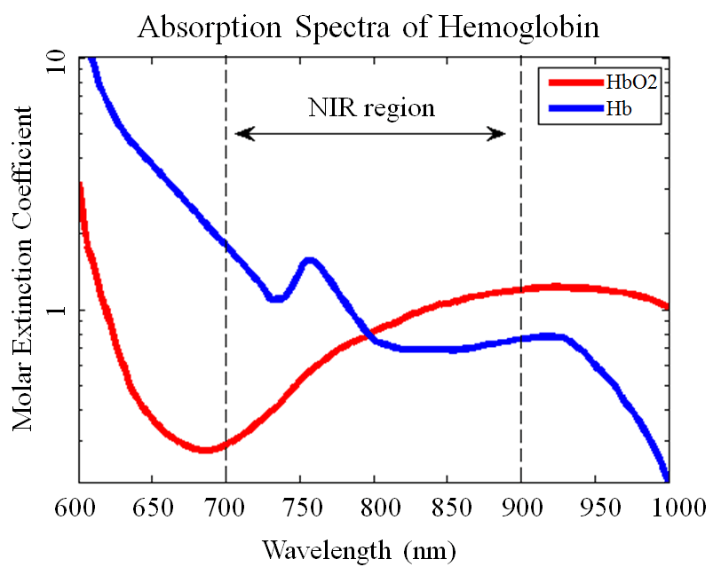 Niveau d’absorption de la lumière par l’oxy- et la désoxyhémoglobine, en fonction de la longueur d’onde. La région proche infrarouge (NIR, near infra-red) est indiquée. Image tirée de Abtahi et al. (2017) sous licence CC-BY 4.0.
