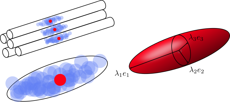La diffusion des molécules d’eau au cours du temps peut se visualiser comme un nuage de points. À cause des contraintes de l’environnement, notamment les axones, ce nuage prend la forme d’un ballon de rugby (haut, gauche). La forme du nuage peut être approximée avec un modèle de tenseur (bas à gauche). Les paramètres principaux de ce modèle sont les directions principales de diffusion e_1, e_2, e_3, ainsi que les valeurs de diffusion associées à ces directions \lambda_1 \geq \lambda_2 \geq \lambda_3. Figure par P. Bellec sous licence CC-BY 4.0, inspirée par M. Descoteaux et C. Poupon,